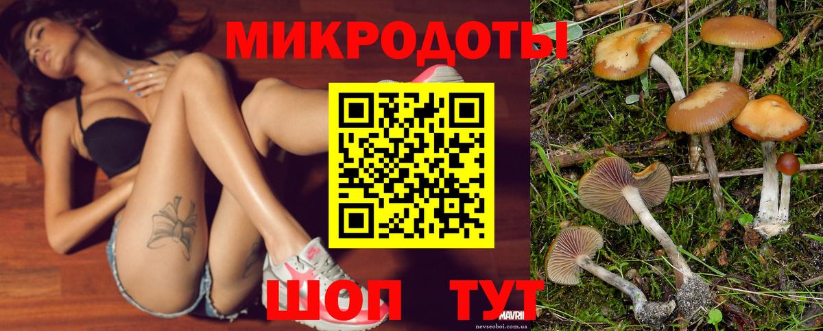Галлюциногенные грибы ЛСД Усть-Илимск