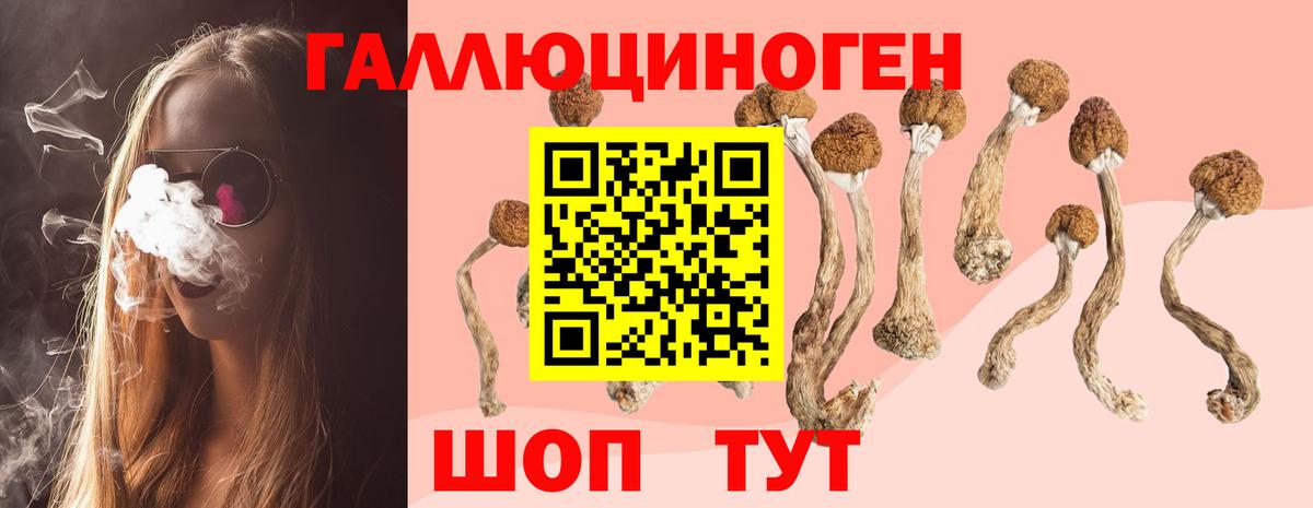 Усть-Илимск  Псилоцибиновые грибы прущие грибы  Вход с VPN  Псилоцибиновые грибы GOLDEN TEACHER 